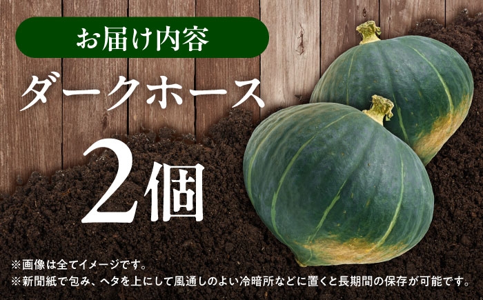 かぼちゃ カボチャ ダークホース  北海道産 足寄町 北海道