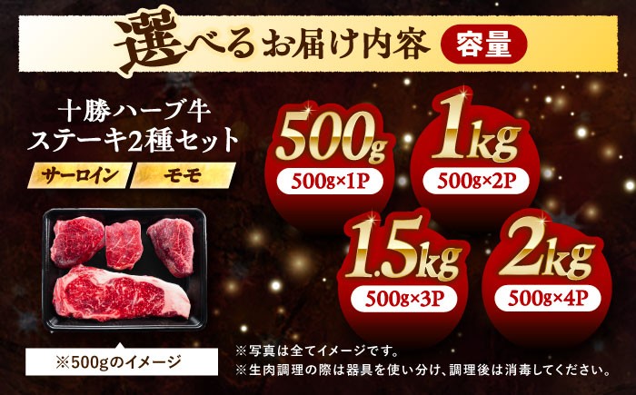 牛肉 牛 肉 にく ニク サーロイン ステーキ もも 国産 道産 北海道産 十勝