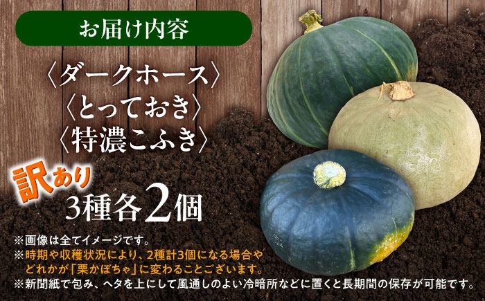 かぼちゃ 訳あり ダークホース とっておき 特濃こふき 北海道産 規格外 セット