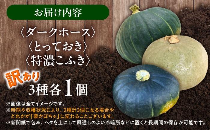 かぼちゃ 訳あり ダークホース とっておき 特濃こふき北海道産 規格外 セット