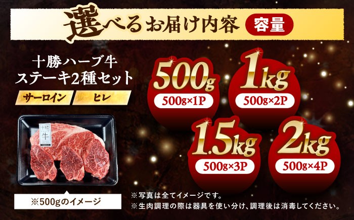 牛肉 牛 肉 にく ニク サーロイン ひれ ヘレ ステーキ 国産 道産 北海道産