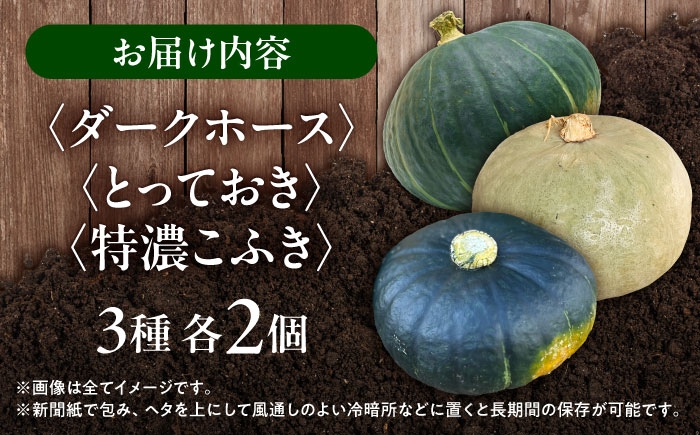 かぼちゃ カボチャ ダークホース とっておき　特濃こふき　北海道 足寄町 