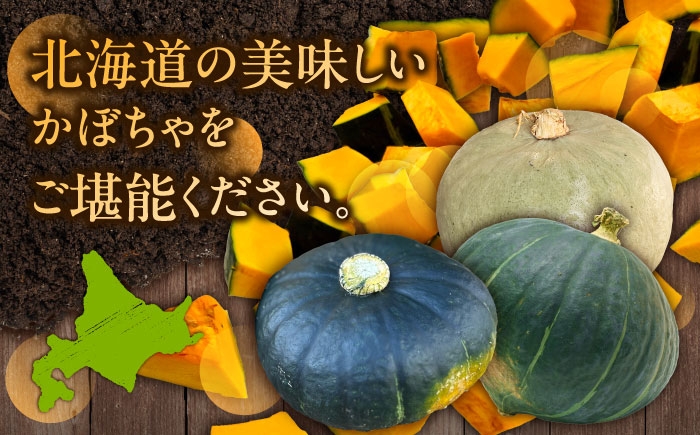 かぼちゃ カボチャ ダークホース とっておき 特濃こふき北海道産 足寄町 北海道