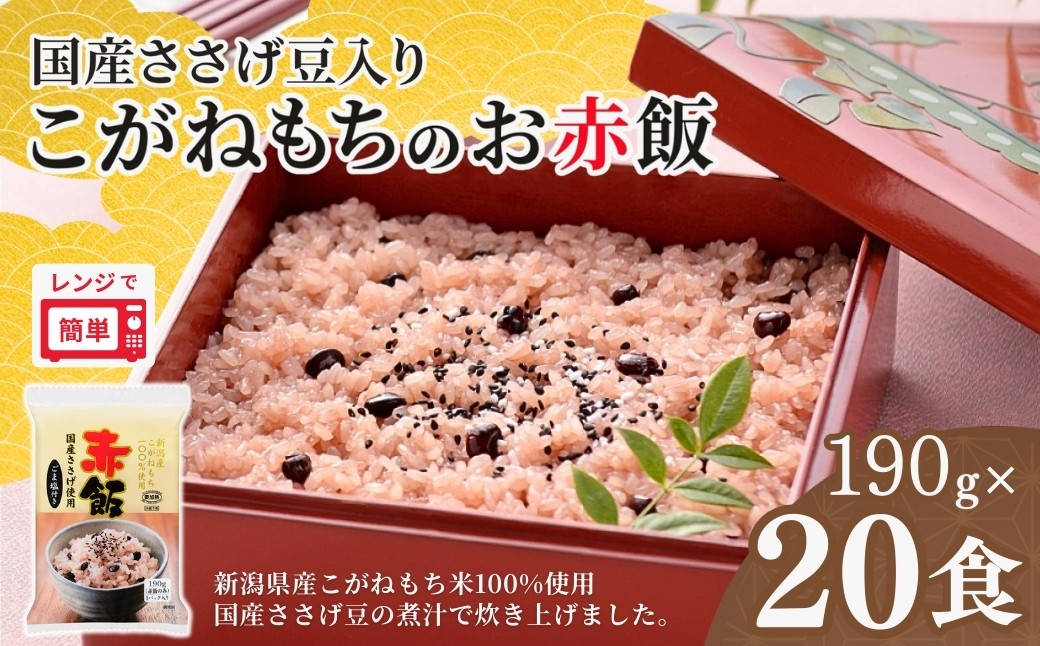 新潟産こがねもち100％使用　パックごはんとは思えないふっくらもちもち