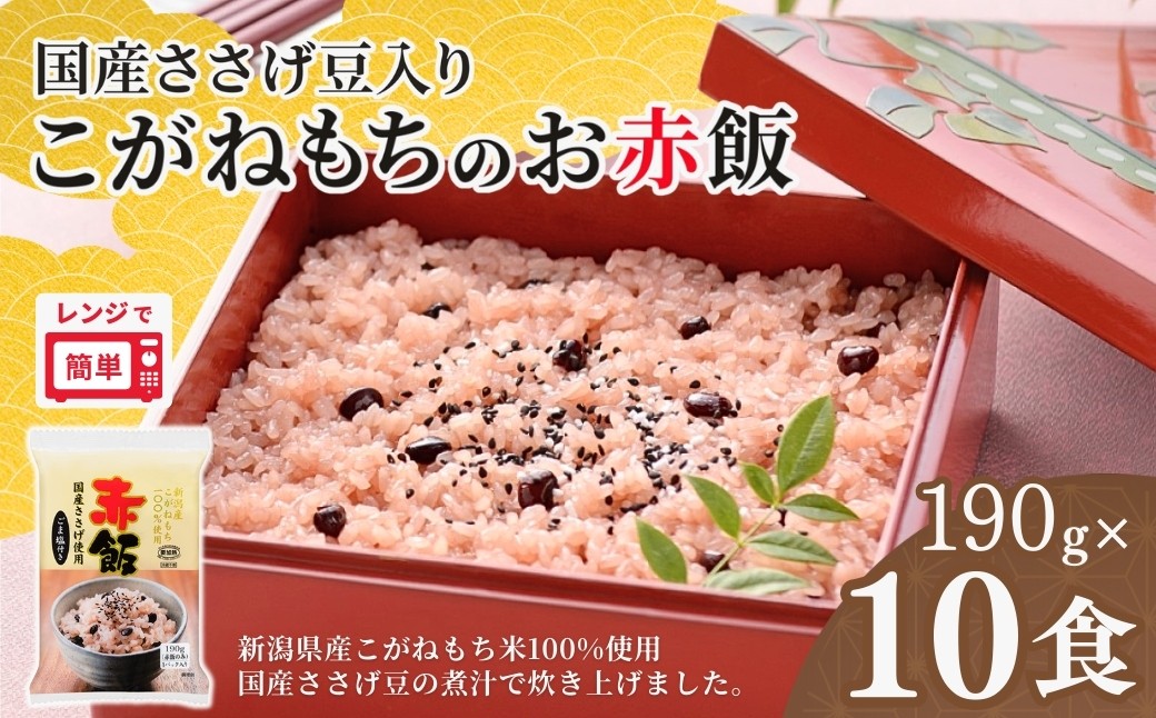 新潟産こがねもち100％使用　パックごはんとは思えないふっくらもちもち