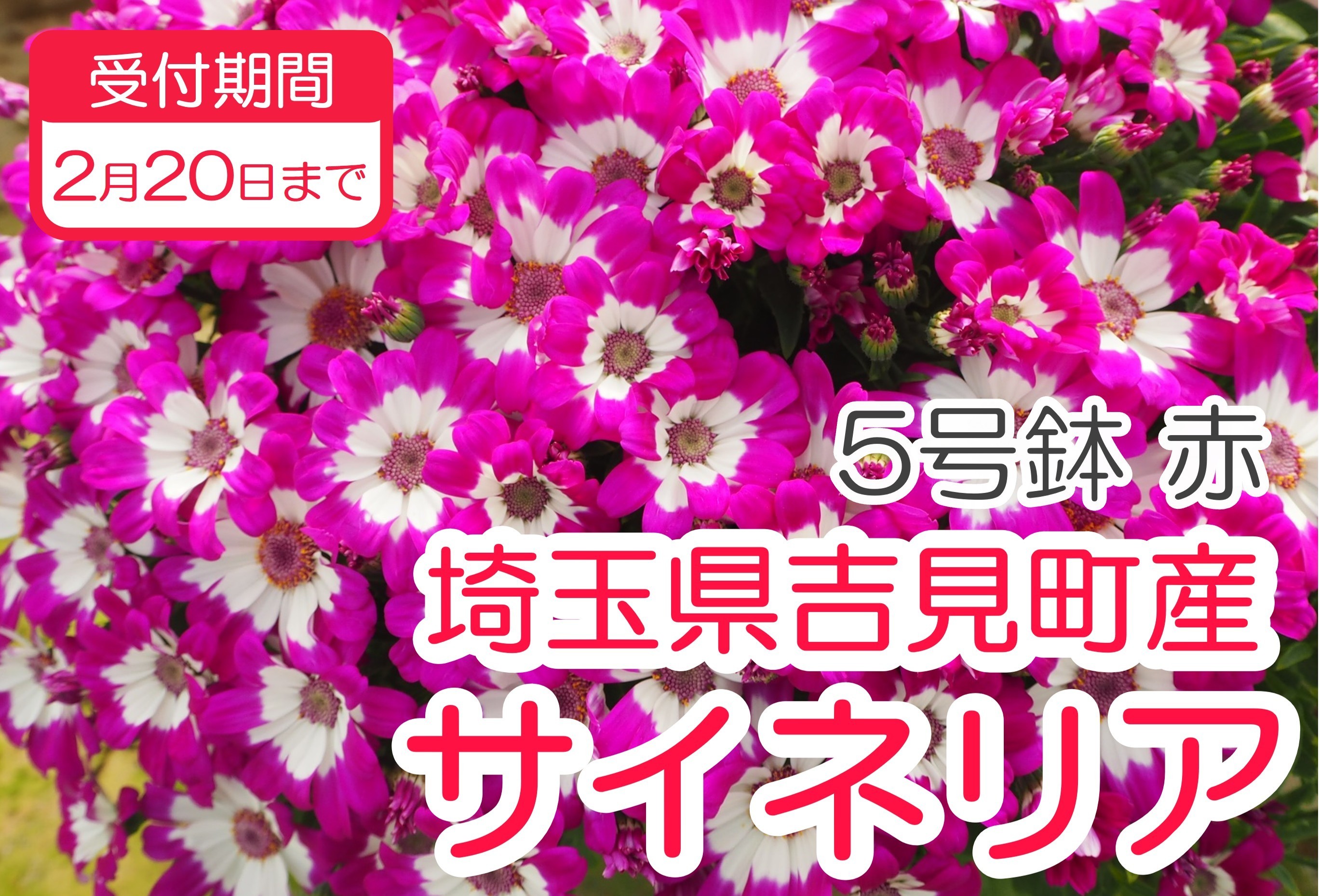 ※写真はイメージです。