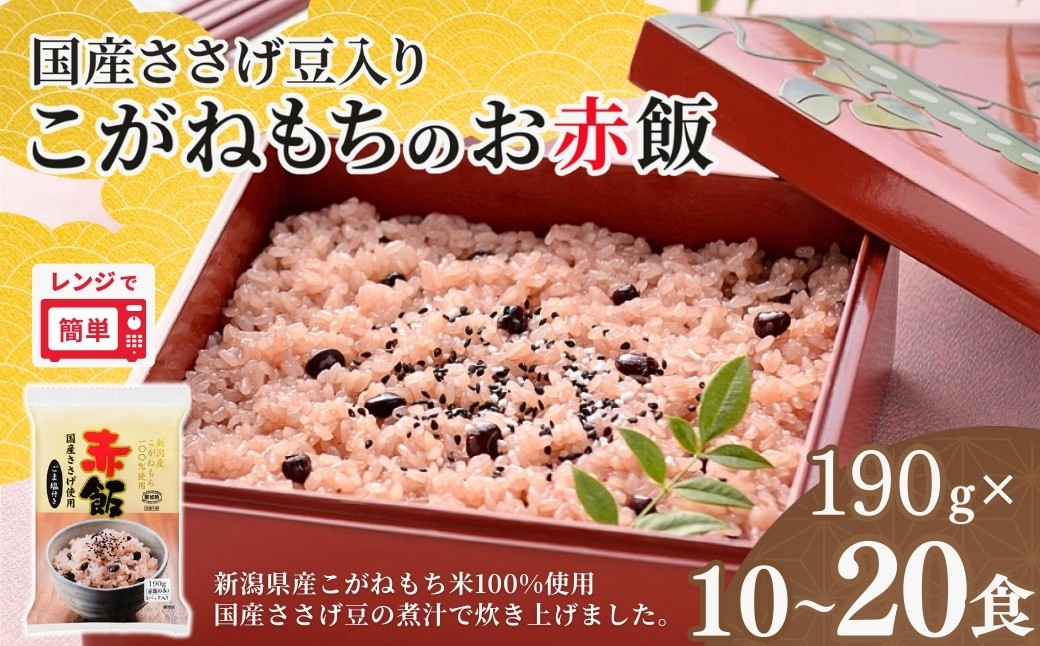 新潟産こがねもち100％使用　パックごはんとは思えないふっくらもちもち
