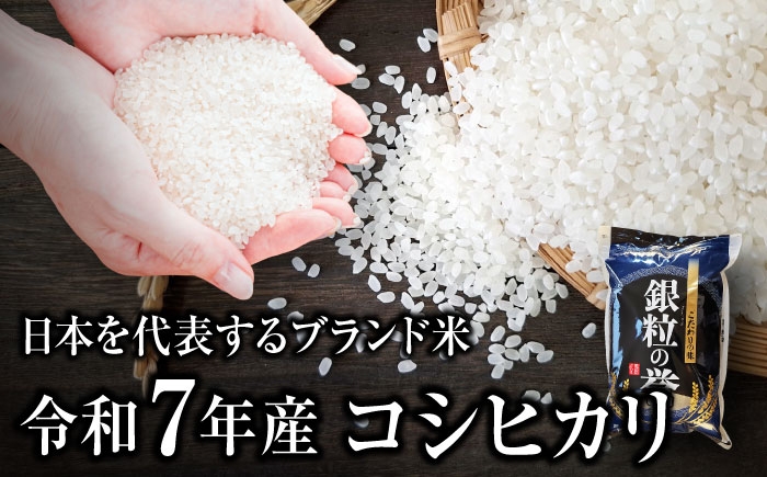 こしひかり 10kg 5kg×2袋 コシヒカリ お米 令和7年産 定期便