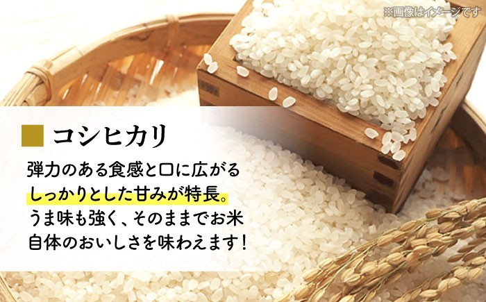 お米 米 ご飯 白米 おにぎり 米 コシヒカリ こしひかり 精米 おこめ こめ