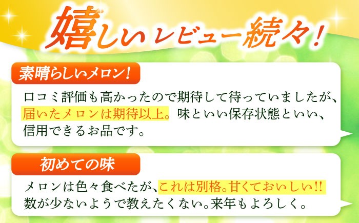 メロン 約5kg フルーツ