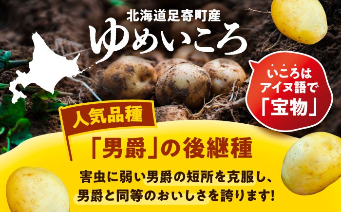 ジャガイモ じゃがいも 国産 野菜 ポテト 芋 イモ いも 道産 寒冷地 北海道
