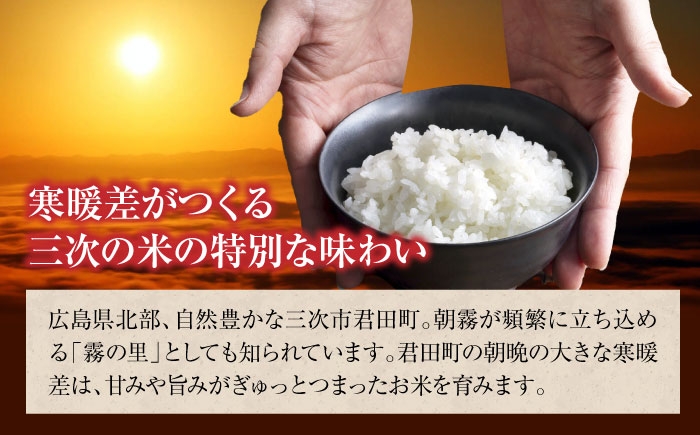 こしひかり 10kg 5kg×2袋 コシヒカリ お米 令和7年産 定期便