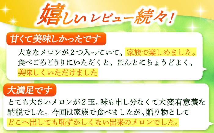 アールスメロン 2玉 約4kg メロン
