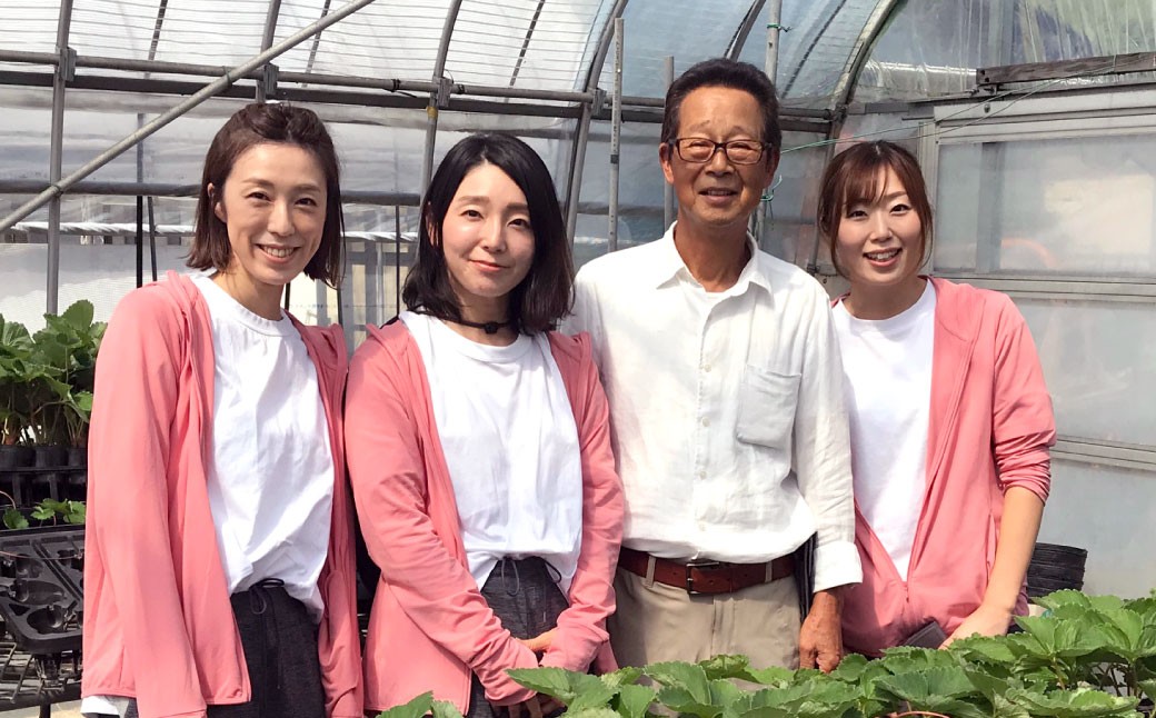 天姫 （あまひめ） イチゴ 【贈答用】（3L～4Lサイズ）12粒入り 1箱