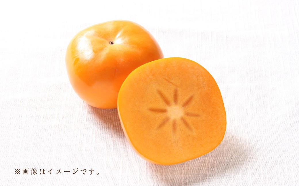 福岡ブランド！ 森部の秋王 セミドライフルーツ 5個セット