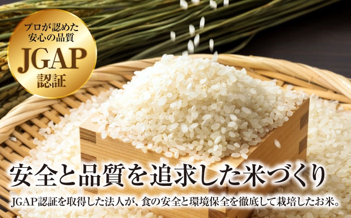 こしひかり 10kg 5kg×2袋 コシヒカリ お米 令和7年産 定期便