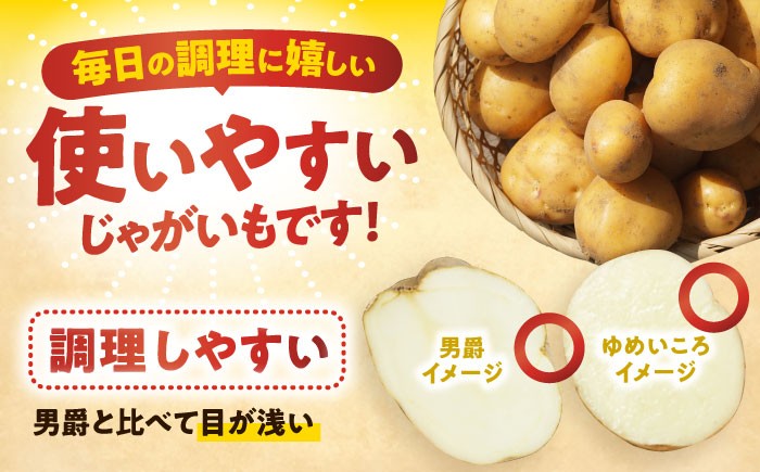 ジャガイモ じゃがいも 国産 野菜 ポテト 芋 イモ いも 道産 寒冷地 北海道