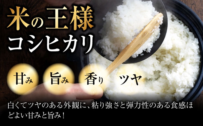 こしひかり 10kg 5kg×2袋 コシヒカリ お米 令和7年産 定期便