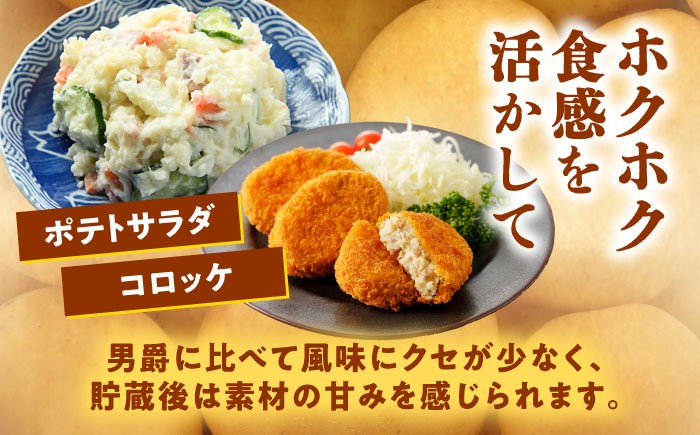 ジャガイモ じゃがいも 国産 野菜 ポテト 芋 イモ いも 道産 寒冷地 北海道