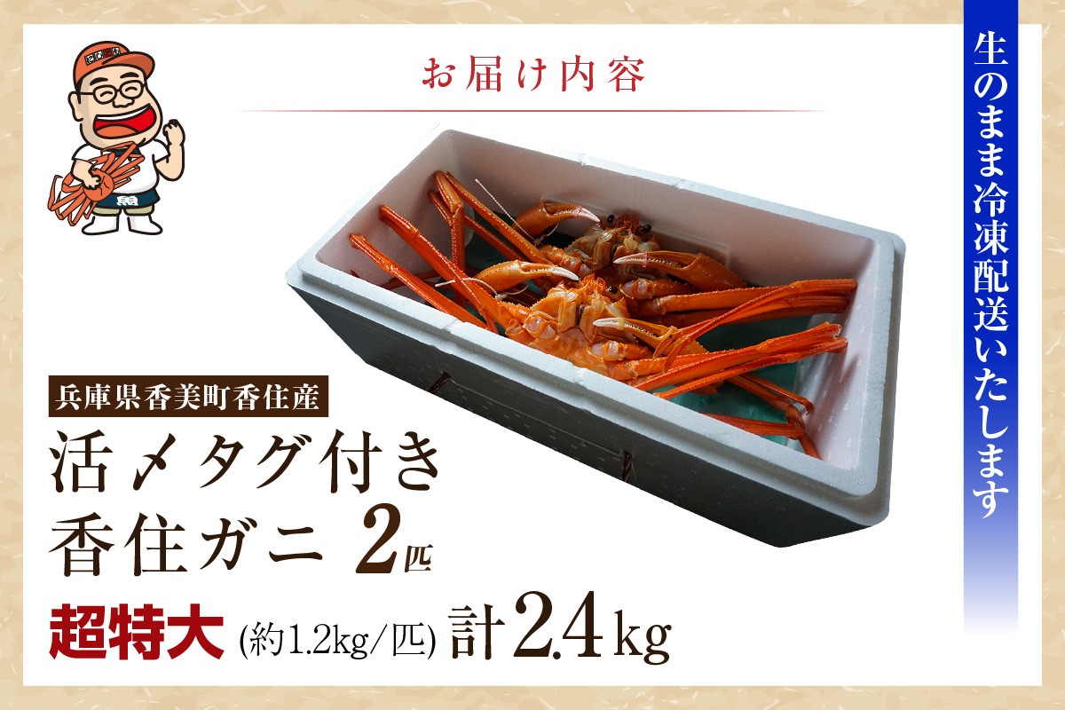 【お届け内容】
活〆タグ付き香住ガニ 超特大 約1.2kg×2匹（合計約2.4kg以上）