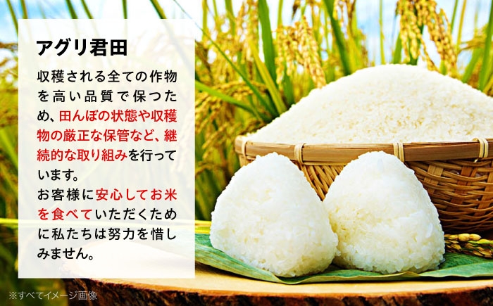こしひかり 白米 10kg 5kg×2袋 アグリ君田 APDC001 米 精米 コメ コシヒカリ お米 令和7年産 広島