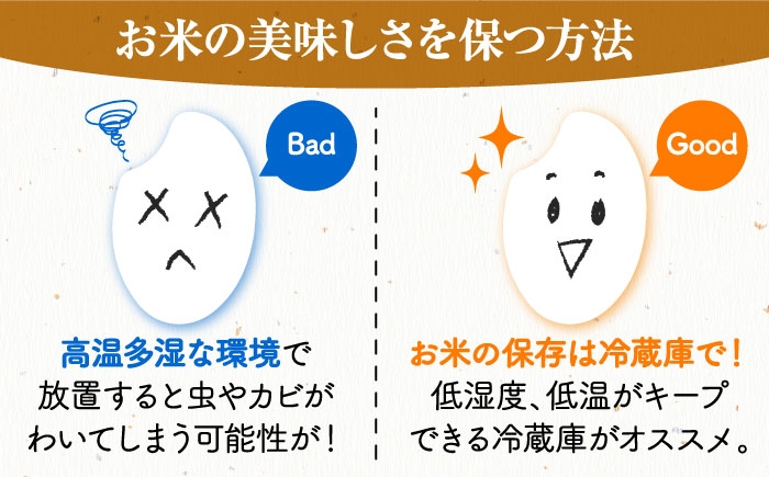 こしひかり 10kg 5kg×2袋 コシヒカリ お米 令和7年産 定期便
