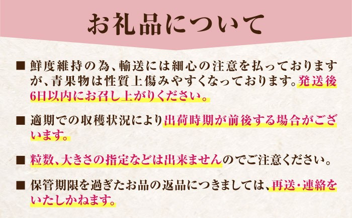 ベリーツ イチゴ 甘い 苺 フルーツ デザート 国産いちご ブランド いちご おすすめフルーツ ストロベリー 旬の果物