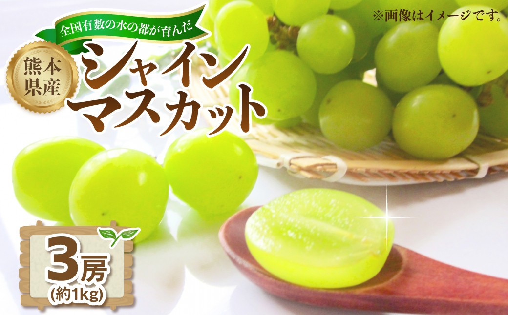 熊本県産シャインマスカット約1kg（3房）