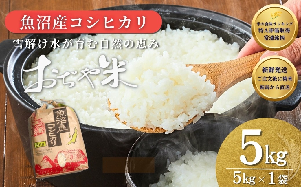 国内最高ランク魚沼米ブランド 肥沃な大地と気候風土、作り手の想いが一体となった米