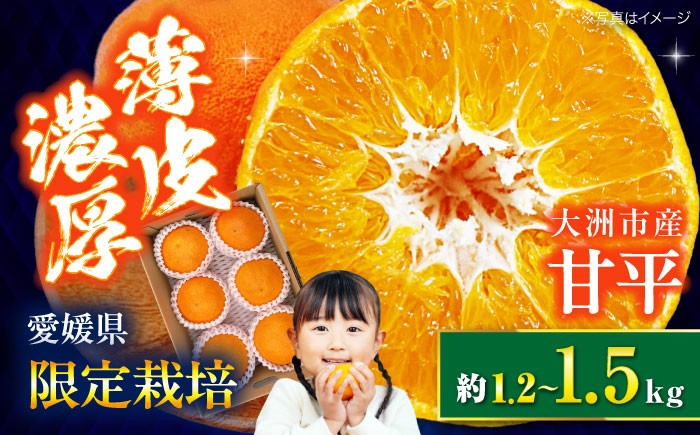 甘平 かんぺい みかん 愛媛みかん 柑橘 オレンジ フルーツ ミカン 果物 愛媛みかん デザート 健康 人気 大洲市