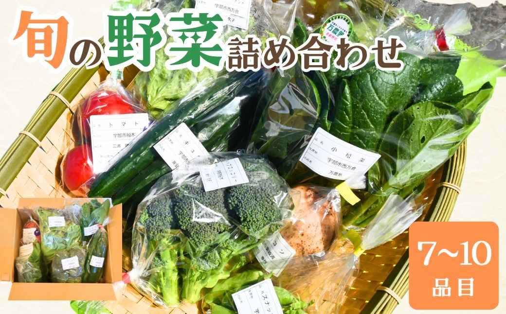 野菜 新鮮野菜の産直 ＜楠こもれびの郷「楠四季菜市」＞ 野菜 やさい ヤサイ 野さい や菜 新鮮野菜 宇部市産 季節野菜