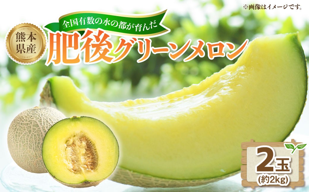 熊本県産肥後グリーンメロン 2玉（約2kg）