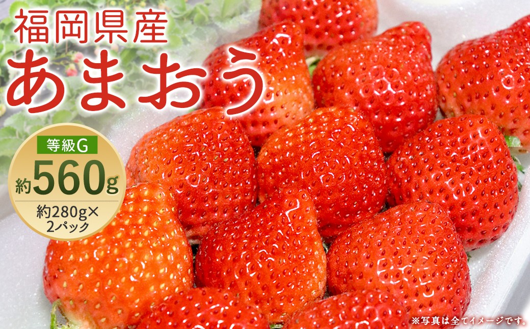 あまおう 等級G 約280g×2パック 計約560g