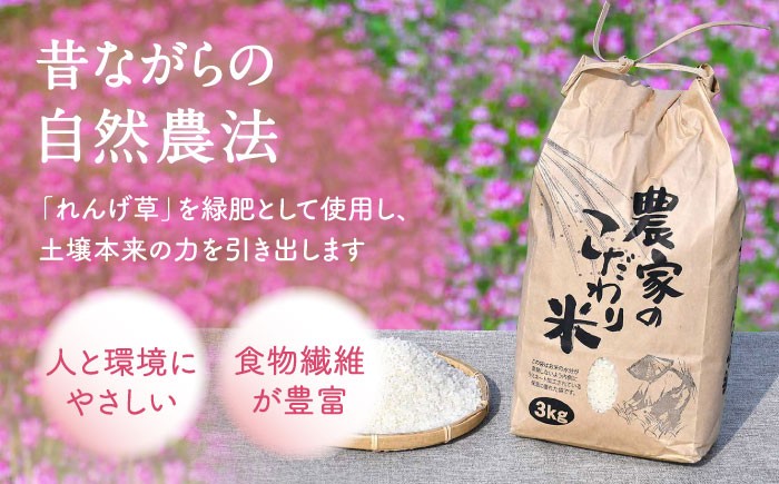 令和7年度 新米 れんげ米 なつほのか 白米 3kg