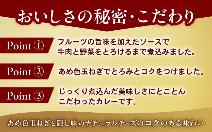 【小分け】日本ハム レストラン仕様カレー中辛10パックセット(1パック4袋入り)計40食分