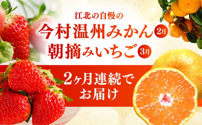 【全2回定期便】 旬のフルーツ定期便 （ みかん ・ いちご ）