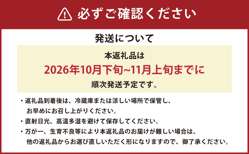 熊本県産太秋柿 約3kg（12玉）