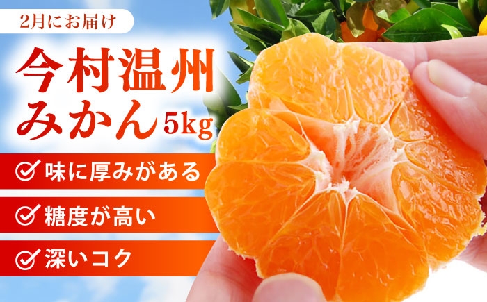 【全2回定期便】 旬のフルーツ定期便 （ みかん ・ いちご ）