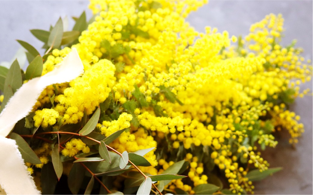 ミモザとユーカリのスワッグ