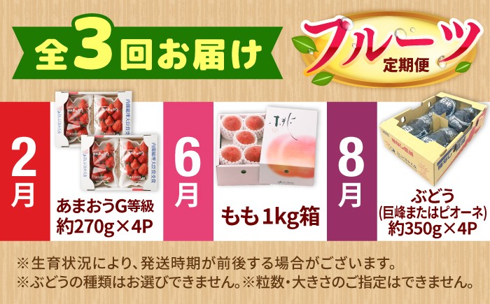 果物 フルーツ イチゴ ブドウ モモ