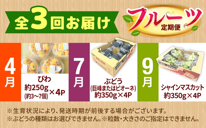 果物 フルーツ定期便 びわ ぶどう シャインマスカット