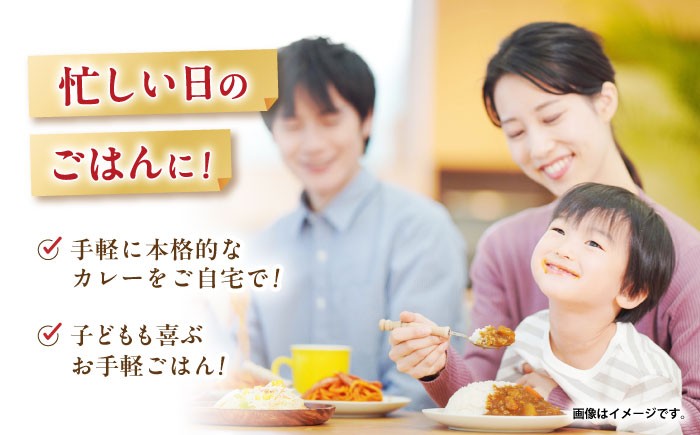 【小分け】日本ハム レストラン仕様カレー中辛10パックセット(1パック4袋入り)計40食分