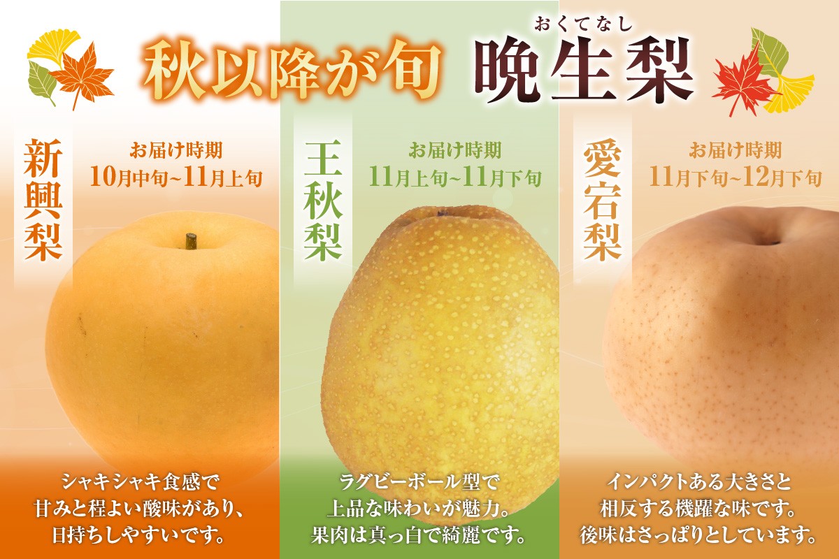 晩生梨は「新興梨」「王秋梨」「愛宕梨」の3種類です！