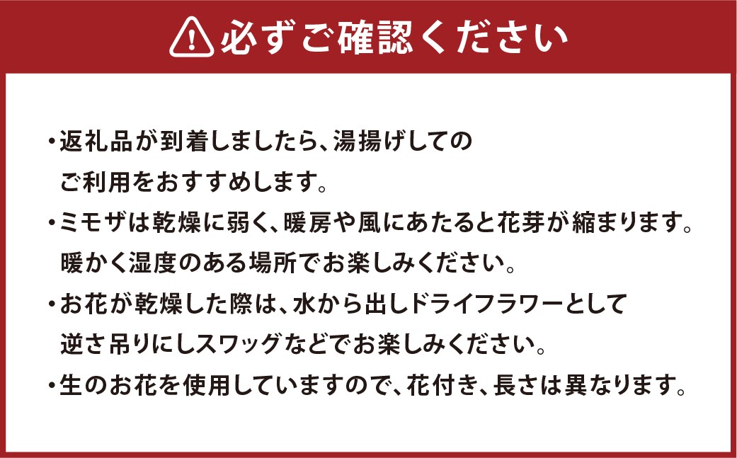 ホワイトローズとグリーン ガラス花瓶付きアレンジ