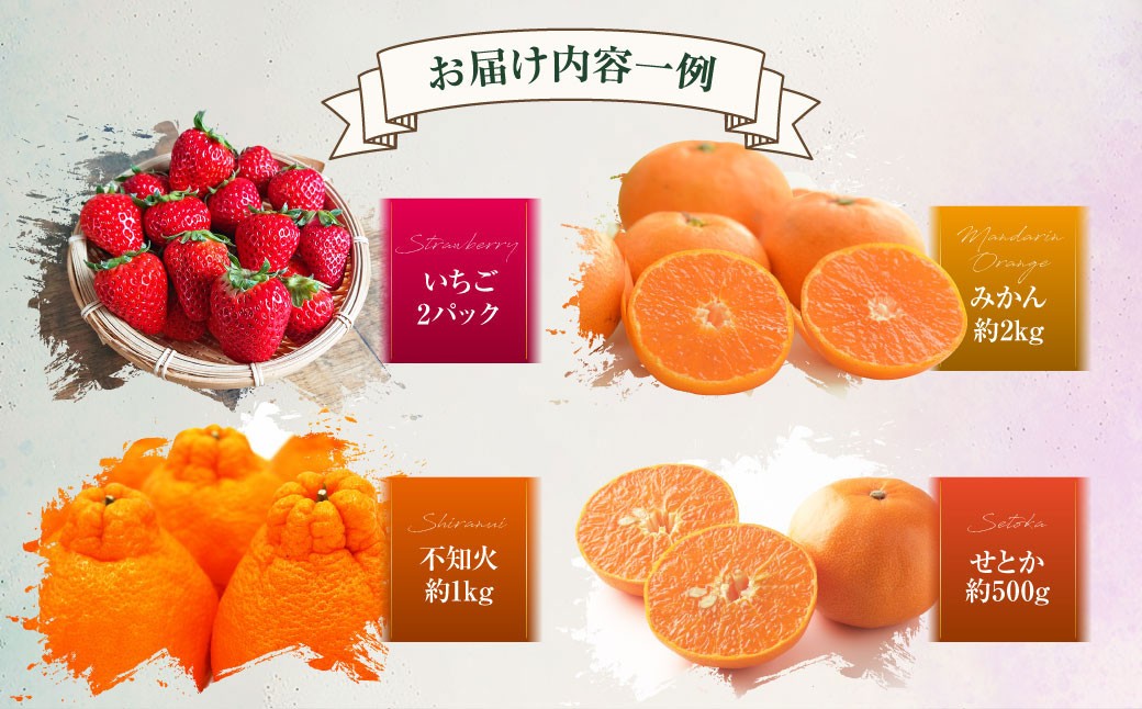 【全12回定期便】旬のフルーツ定期便食べ比べセット