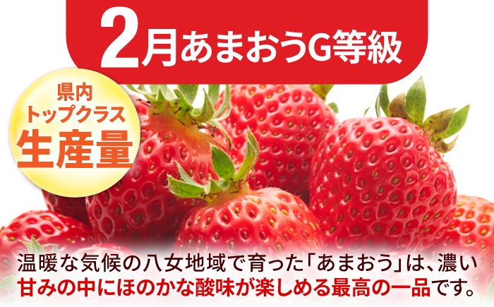 果物 フルーツ定期便。いちご びわ ぶどう