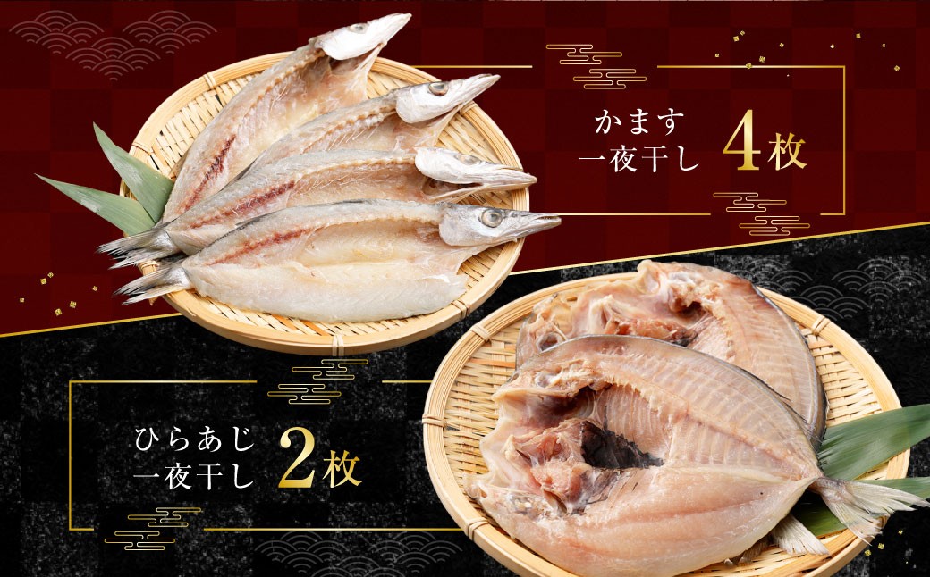 【全3回定期便】24枚入り「長崎蚊焼干し」規格外干物セット