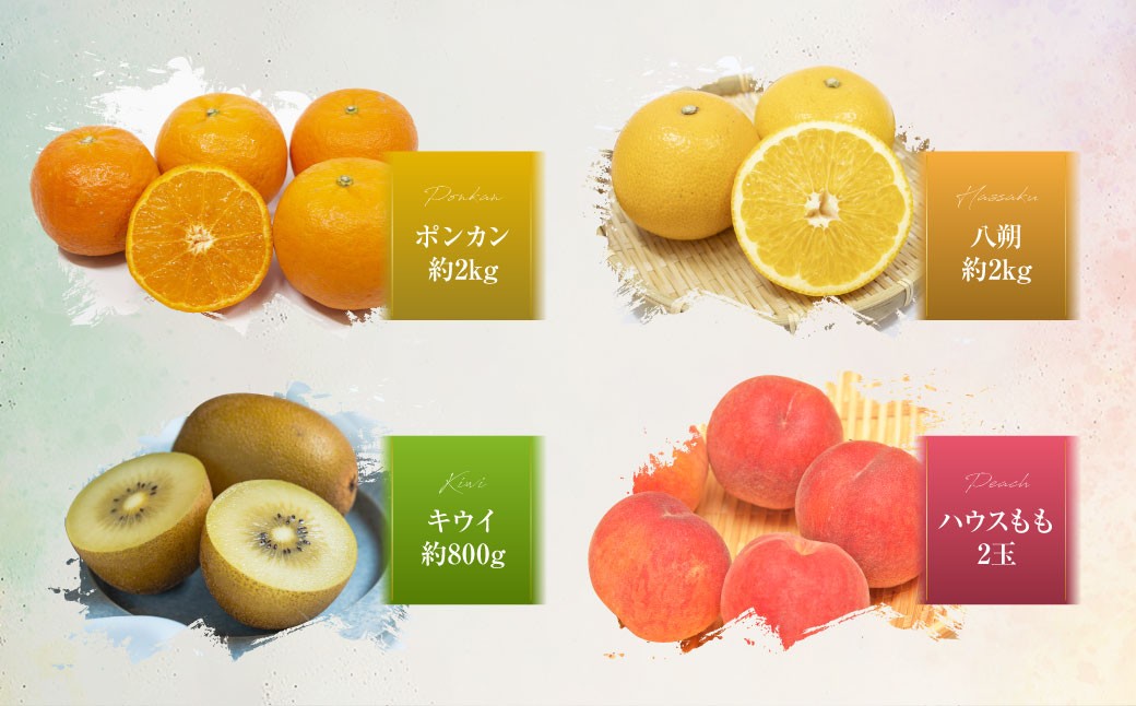 【全12回定期便】旬のフルーツ定期便食べ比べセット