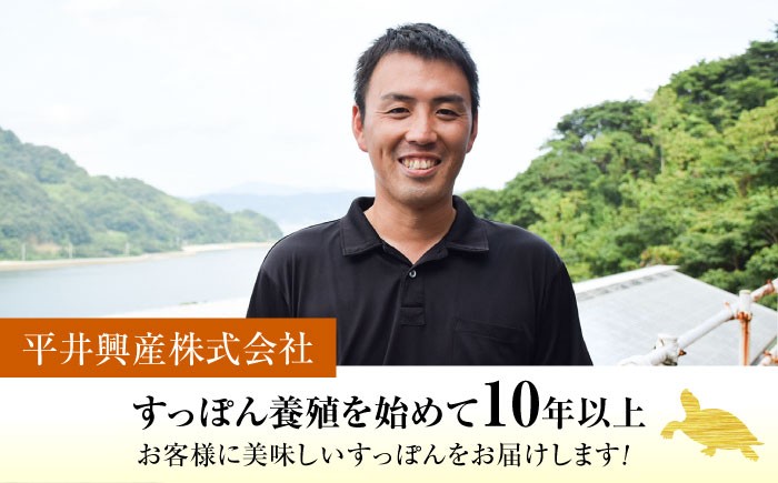 すっぽん スッポン コラーゲン 珍味 海鮮 魚介類 鍋 ナベ なべ セット