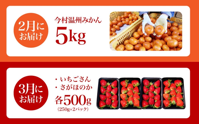【全2回定期便】 旬のフルーツ定期便 （ みかん ・ いちご ）